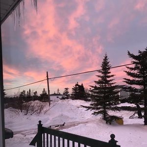 Meet your Posher, Virginia